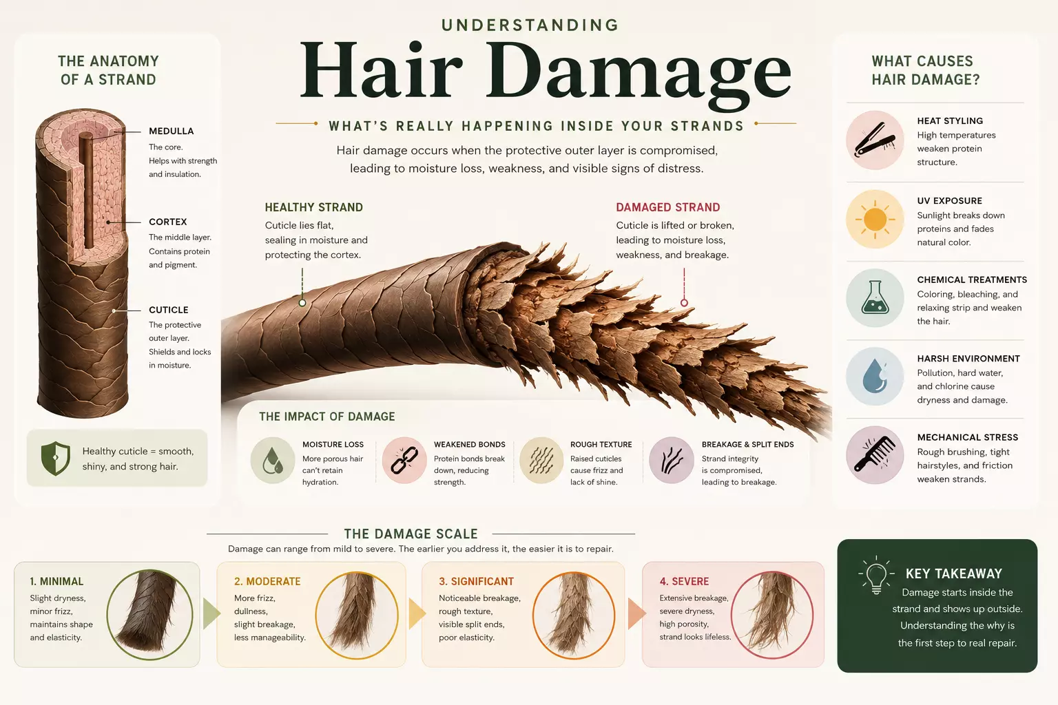 Understanding hair damage whats inside your strands visual