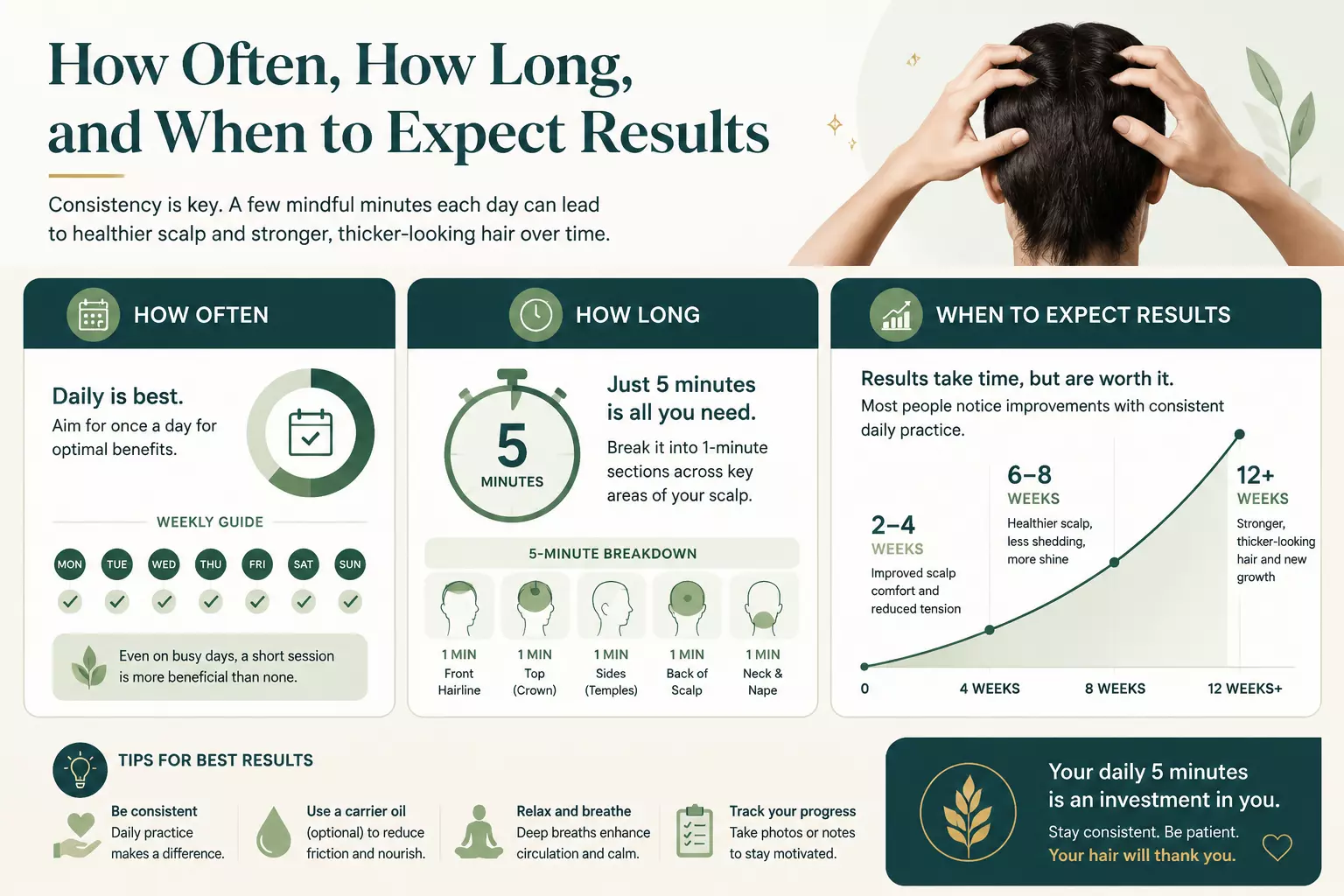 Scalp massage frequency duration and results timeline infographic